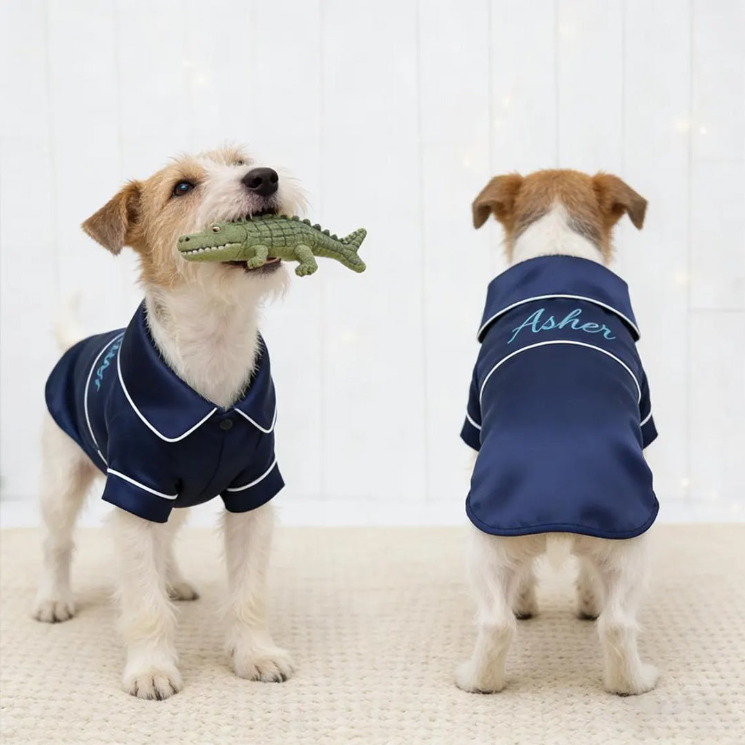 Personalized Luxury Satin Dog Pajamas With Name