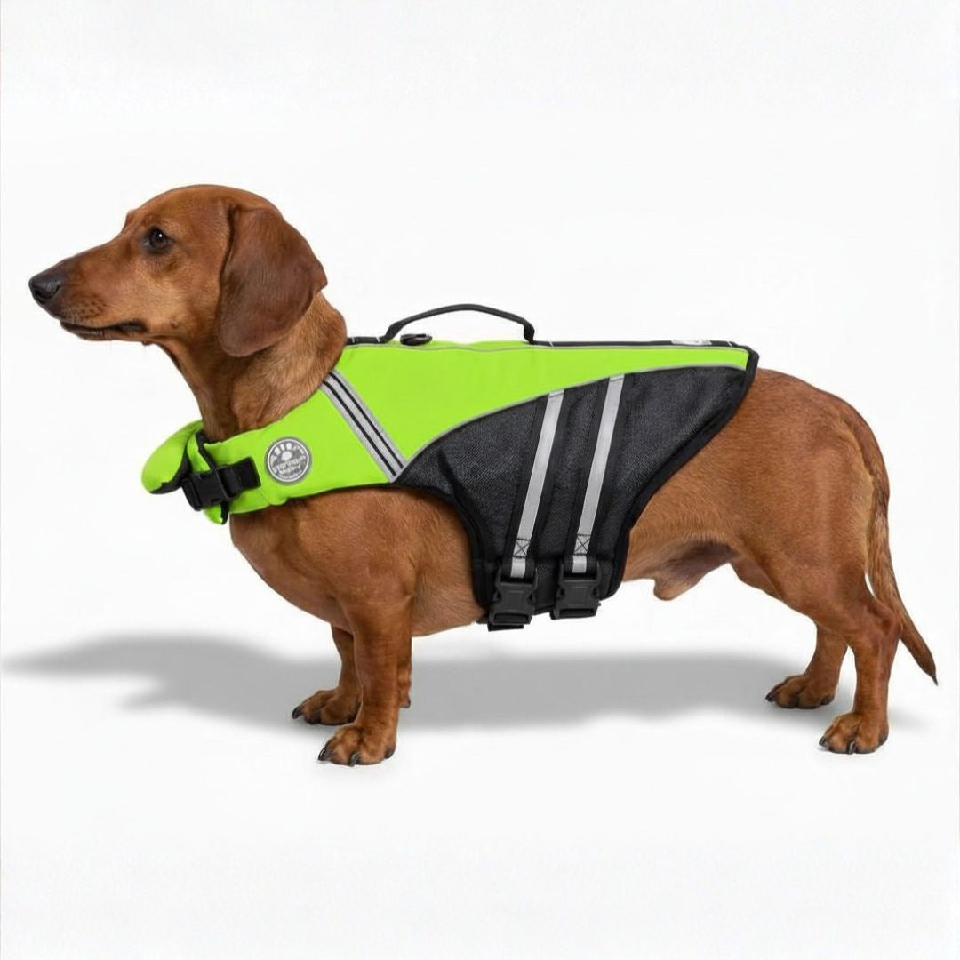 Personalized Dog Life Jacket
