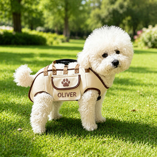 Personalized Custom Portable, Breathable, Crossbody Pet Backpack