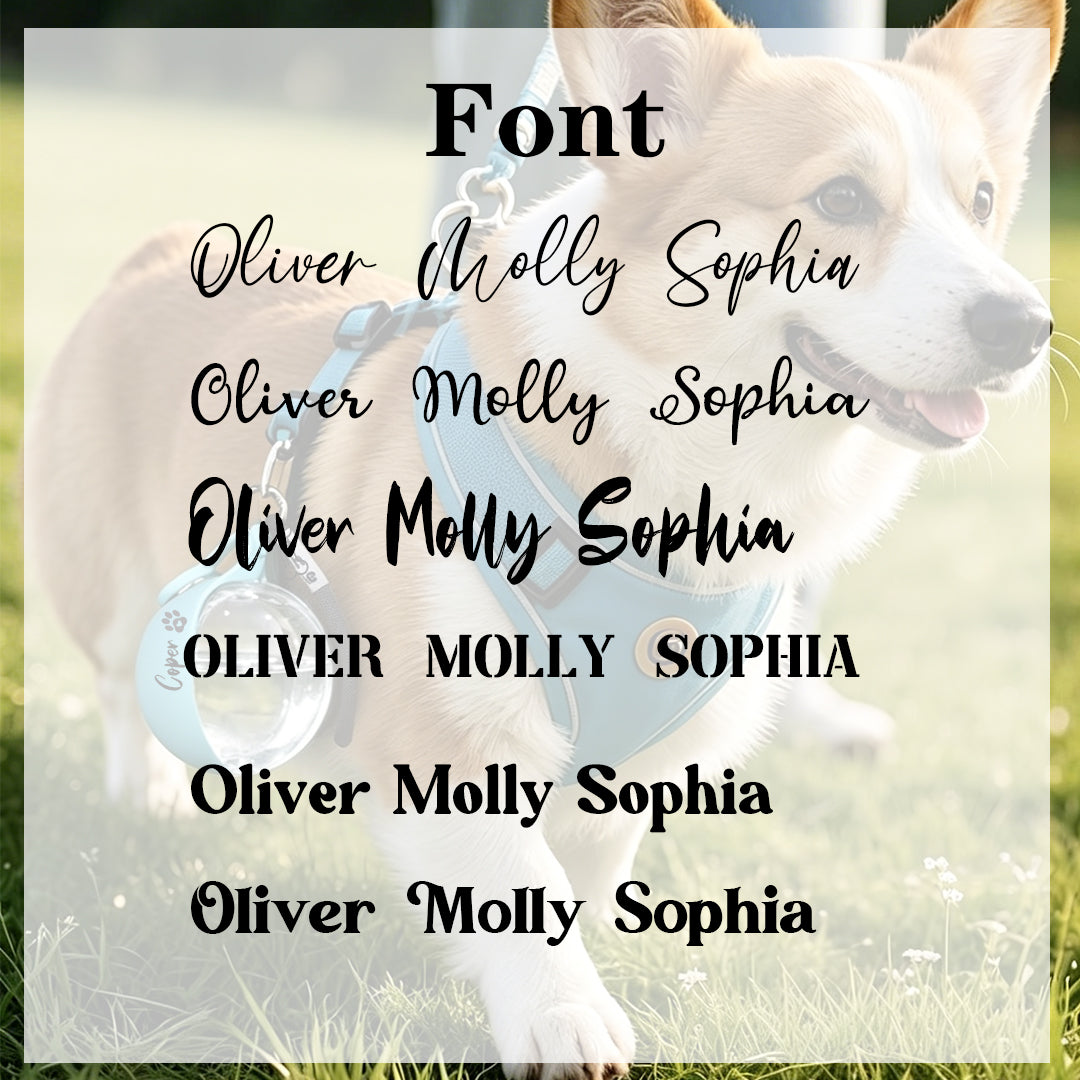 Personalized Custom Outdoor Round Portable Water Dispenser for Cats and Dogs