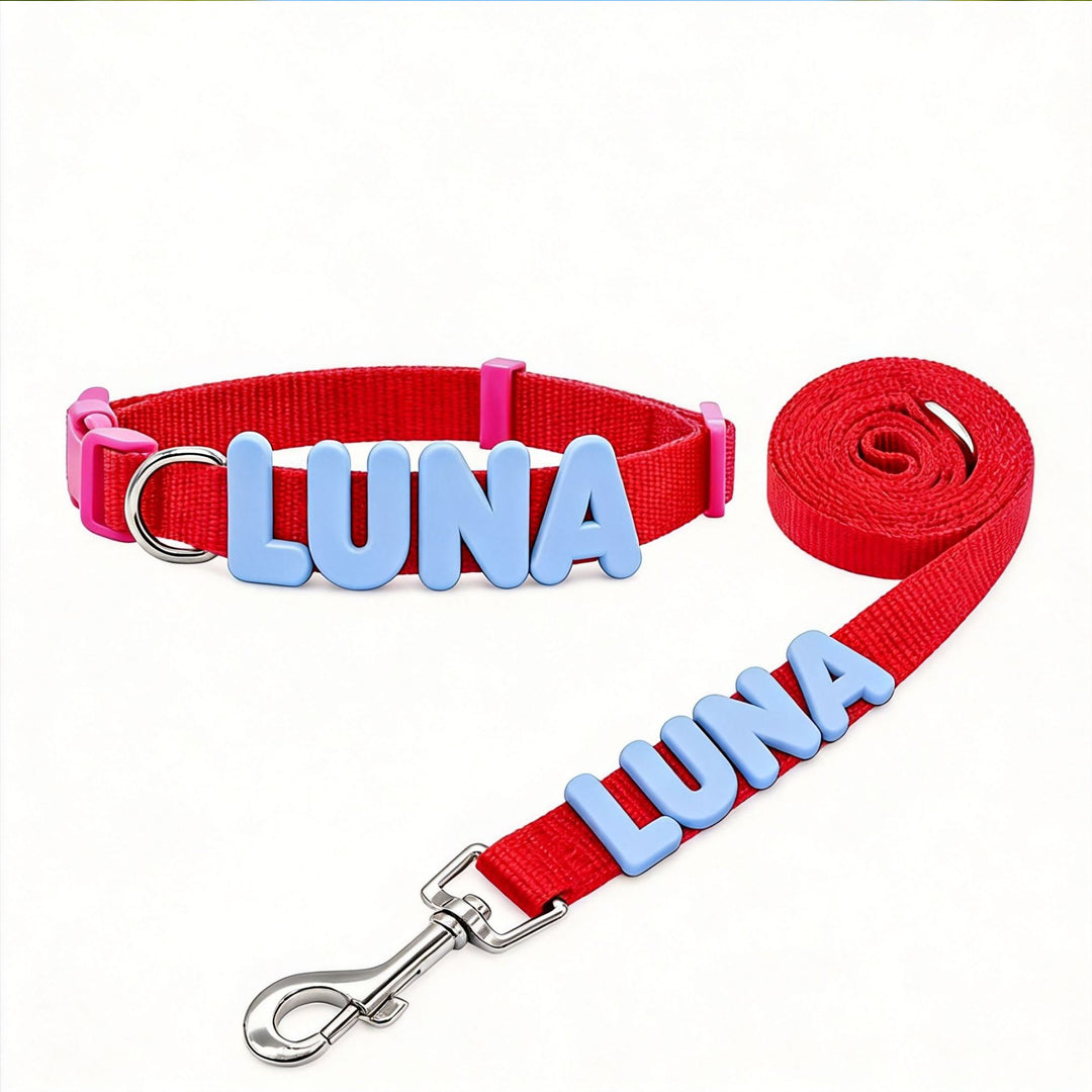 Personalized Letter Pet Leash and Collar Set