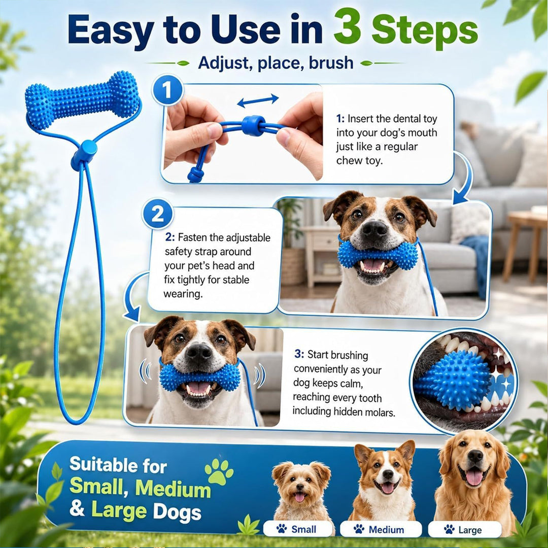 Dog Teething Toy
