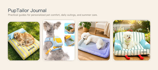 Why Personalized Pet Essentials Feel Different