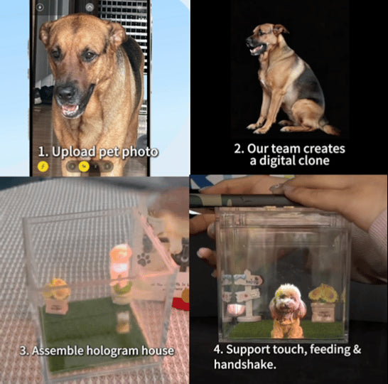 Custom Pet Holographic Memorial Box