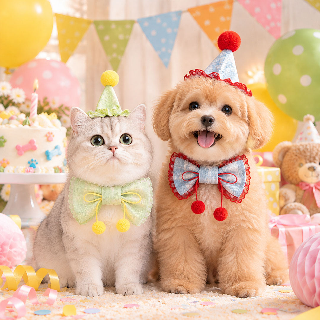 Pet Birthday Party Hat & Bow Tie