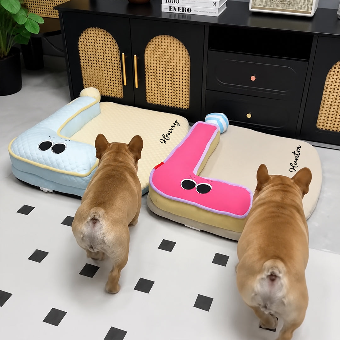 Personalized Name Question Mark Pet Bed