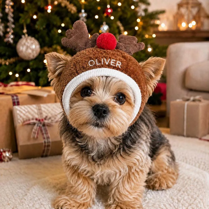 Personalized Embroidered Christmas Pet Hat