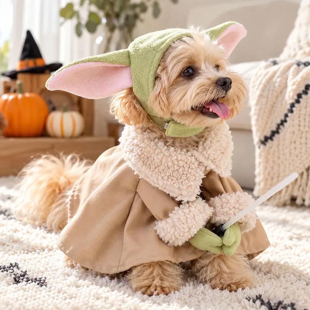 Personalized Alien Pet Costume
