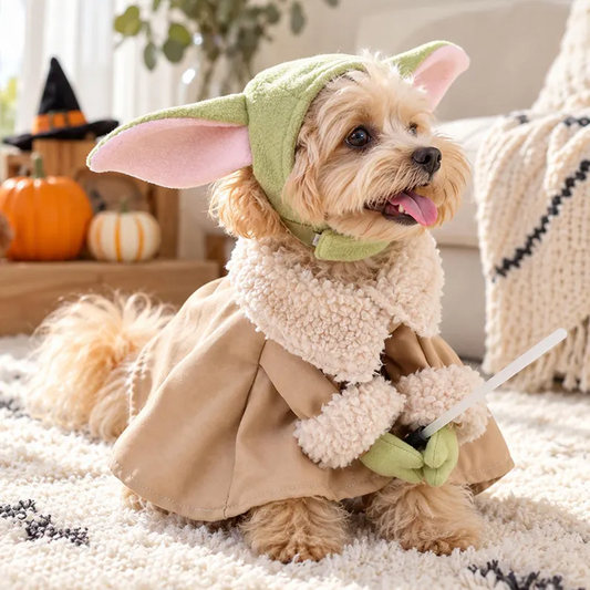 Personalized Alien Pet Costume