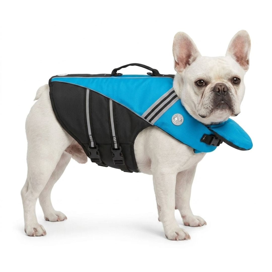 Personalized Dog Life Jacket