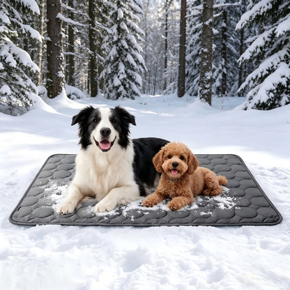 Personalized Pet Summer Cooling Mat