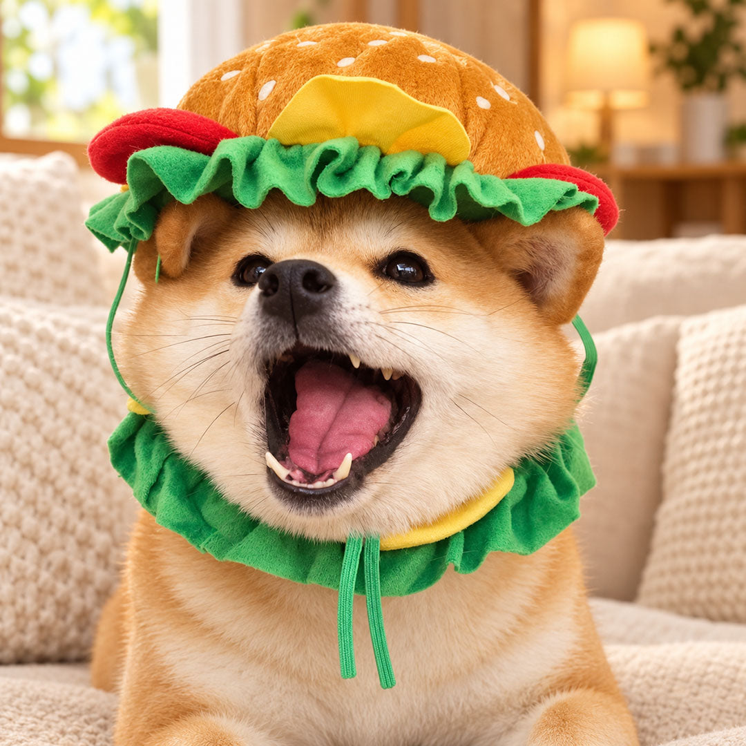 Hamburger Pet Costume Set for Cats & Small Dogs