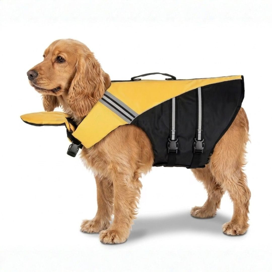 Personalized Dog Life Jacket