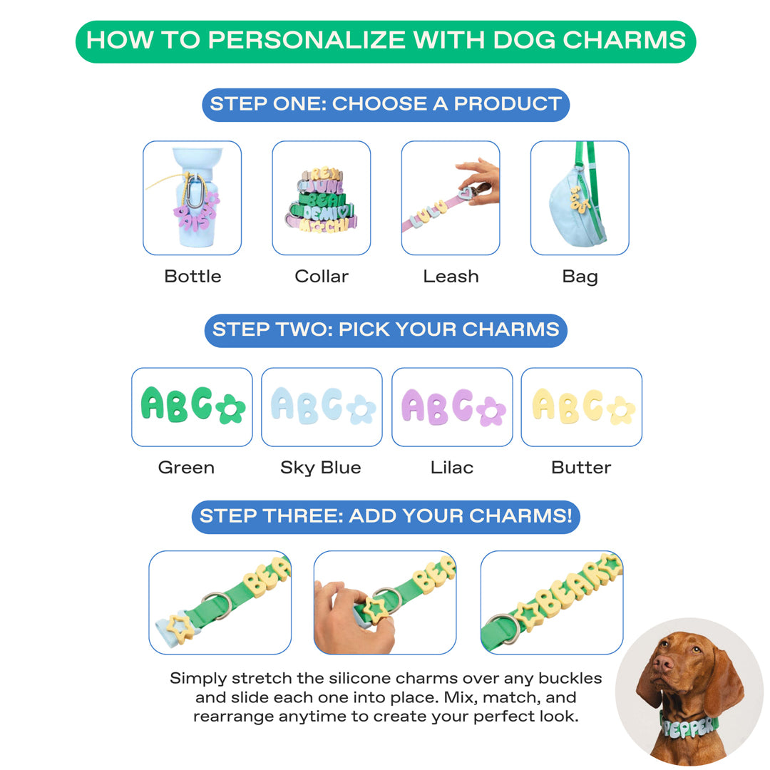 Personalized Waterproof Dog Collar with Charms