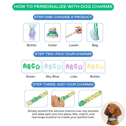 Personalized Waterproof Dog Collar with Charms