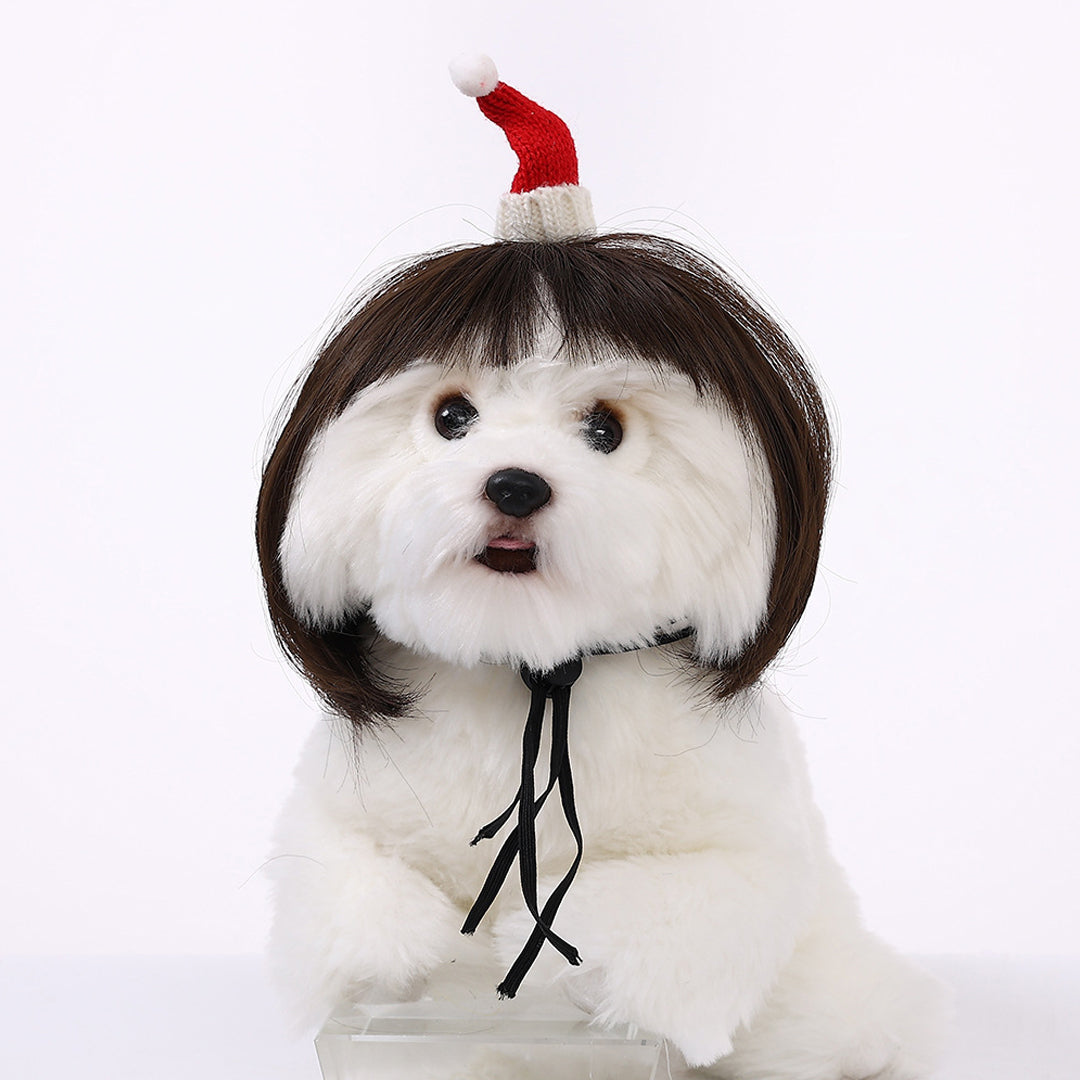 Funny Dog Wigs — Adjustable Pet Costume Hair