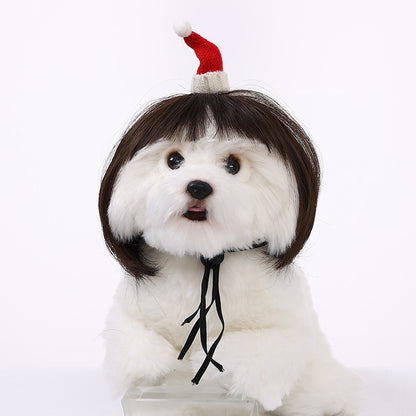 Funny Dog Wigs — Adjustable Pet Costume Hair