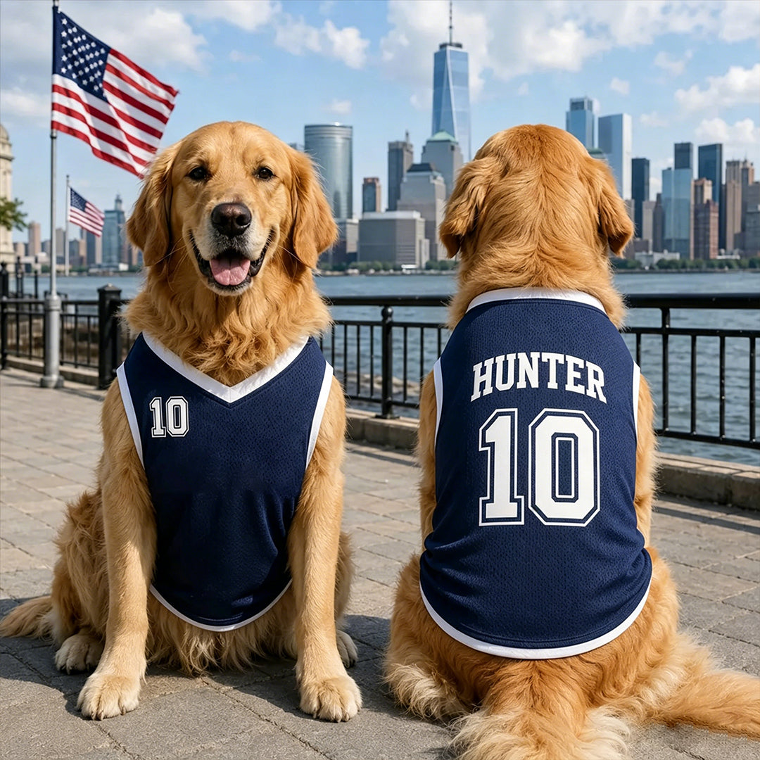 Personalized Dog Jersey with Name Number
