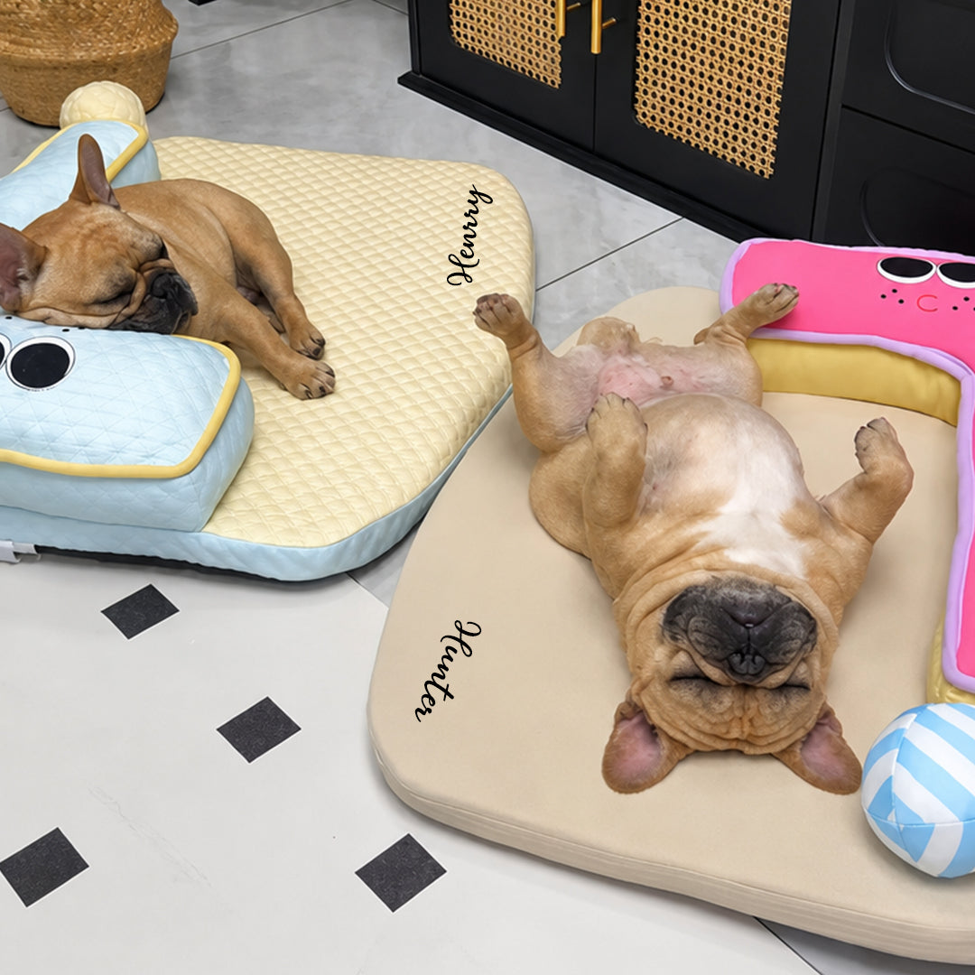 Personalized Name Question Mark Pet Bed