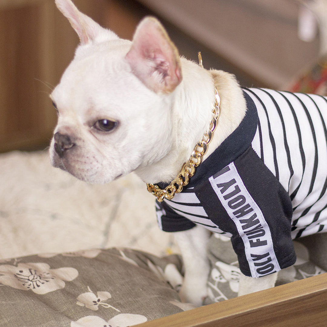 Pet Necklace Accessories