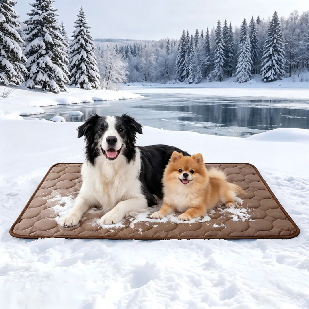 Personalized Pet Summer Cooling Mat