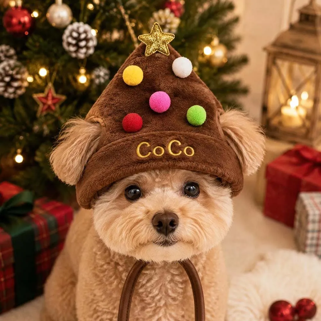 Personalized Embroidered Christmas Pet Hat