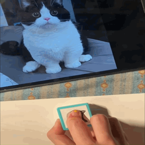 Custom Pet Portrait Stamp