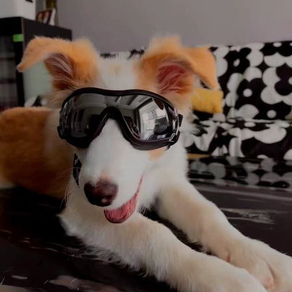 Cool and Windproof Sunglasses for Pets