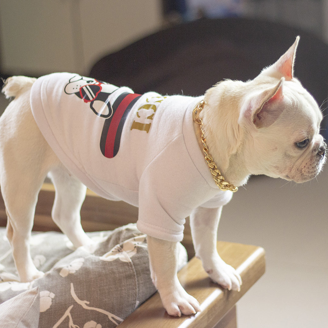 Pet Necklace Accessories