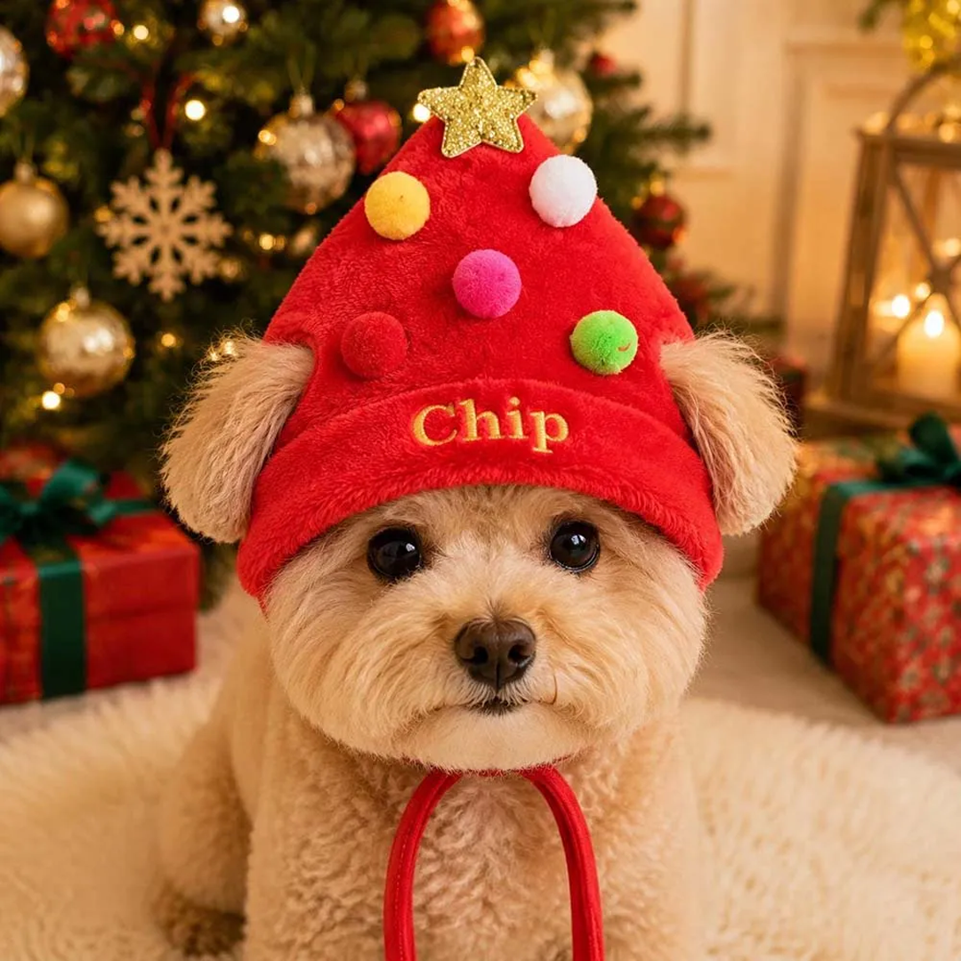 Personalized Embroidered Christmas Pet Hat