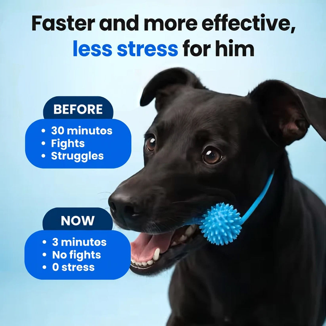 Puptailor Dog Teeth Cleaner
