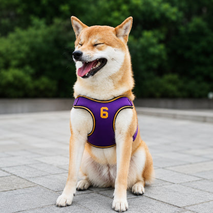 Dog Leash and Harness