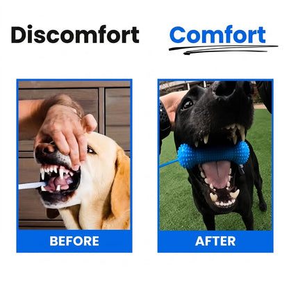 Puptailor Dog Teeth Cleaner
