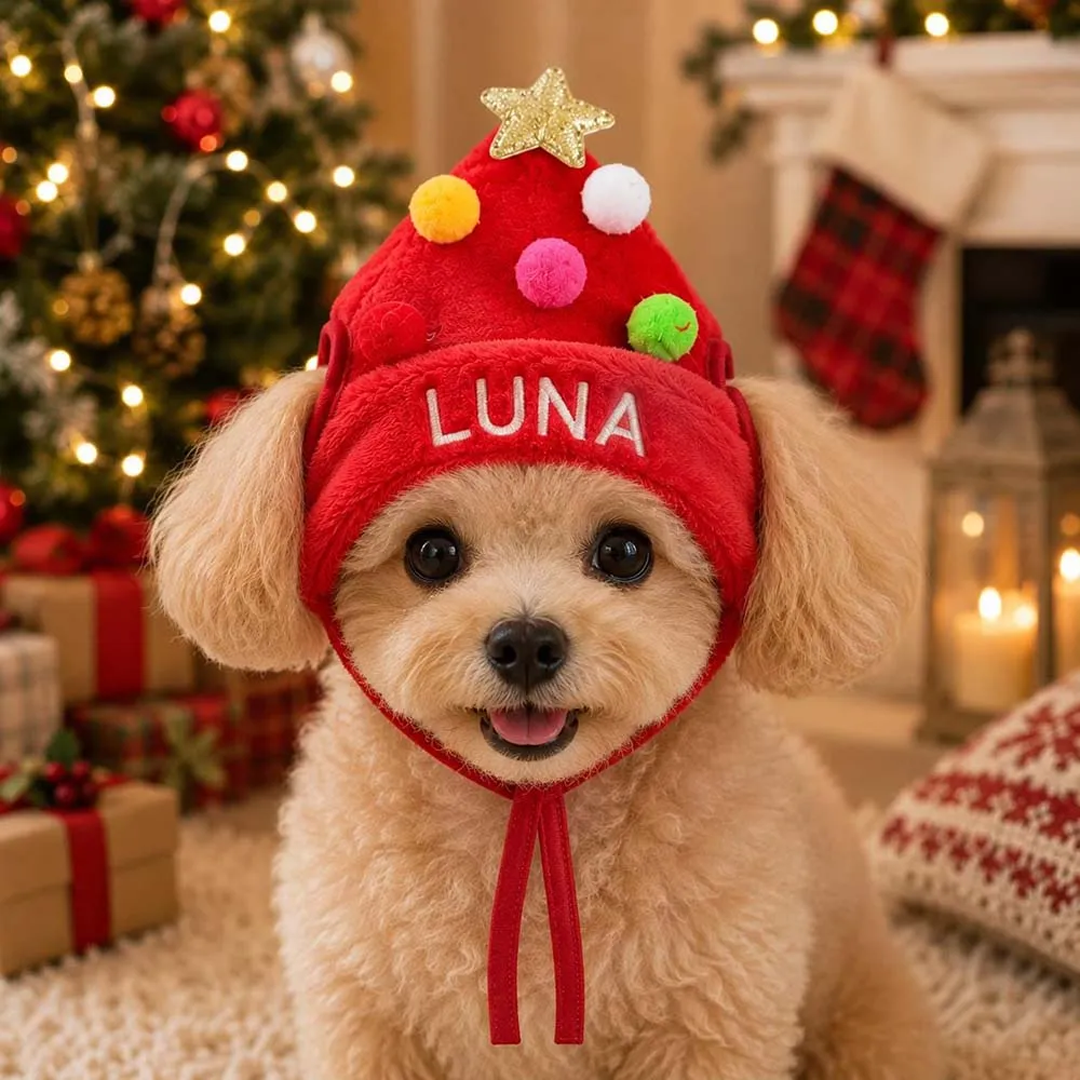 Personalized Embroidered Christmas Pet Hat