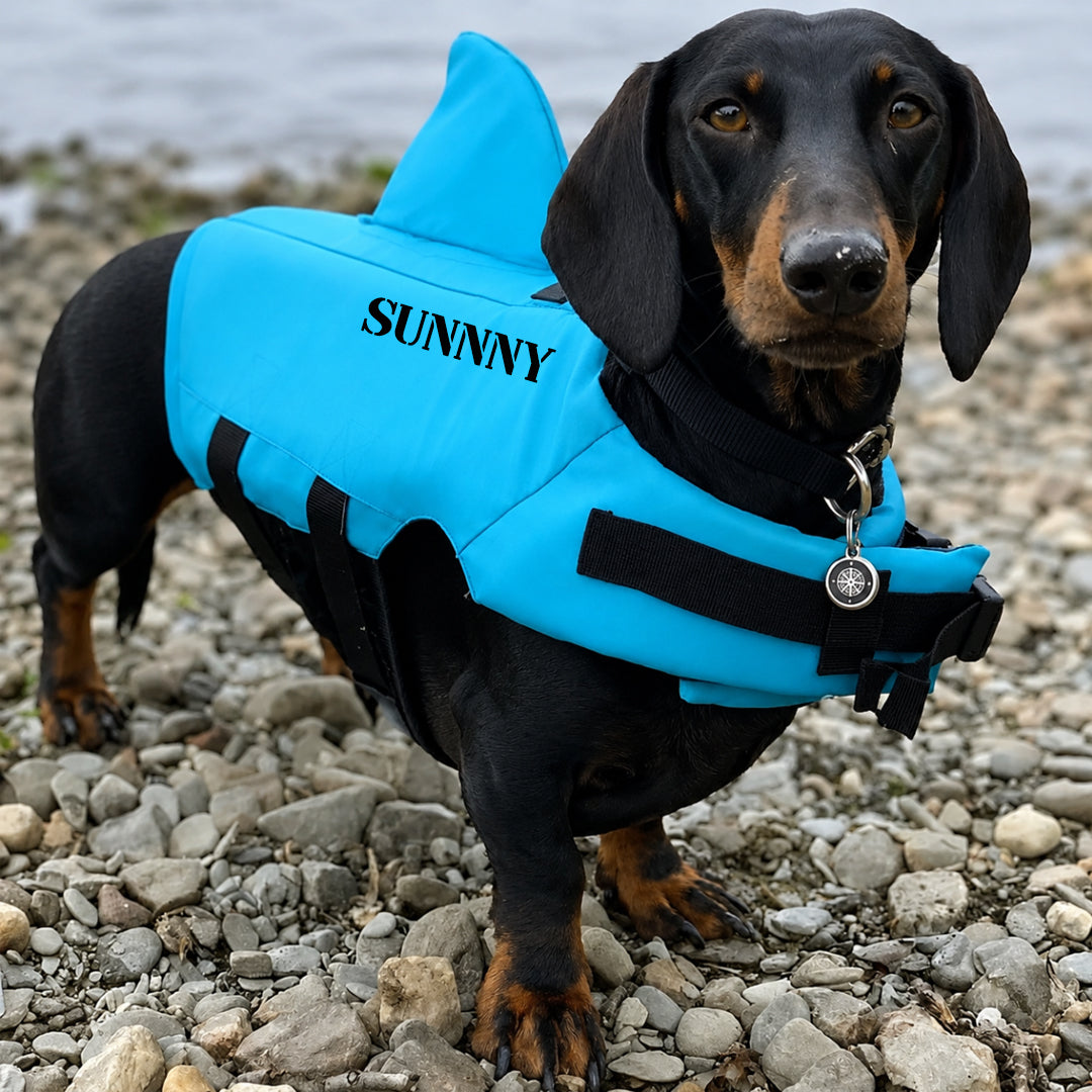 Personalized Shark Fin Dog Life Jacket