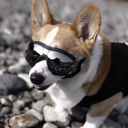 Cool and Windproof Sunglasses for Pets