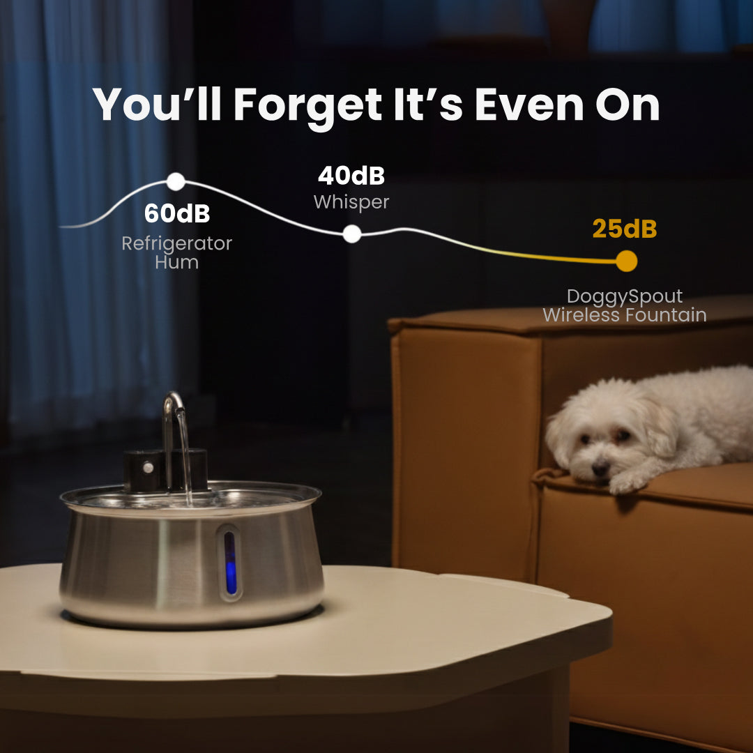 Stainless Steel Pet Water Fountain