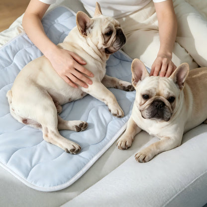 Personalized Pet Cooling Mat