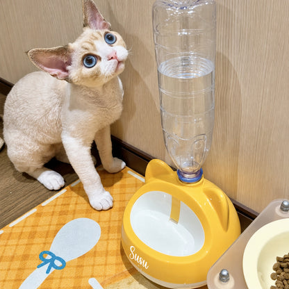 Personalized Gravity-Powered Pet Water Fountain