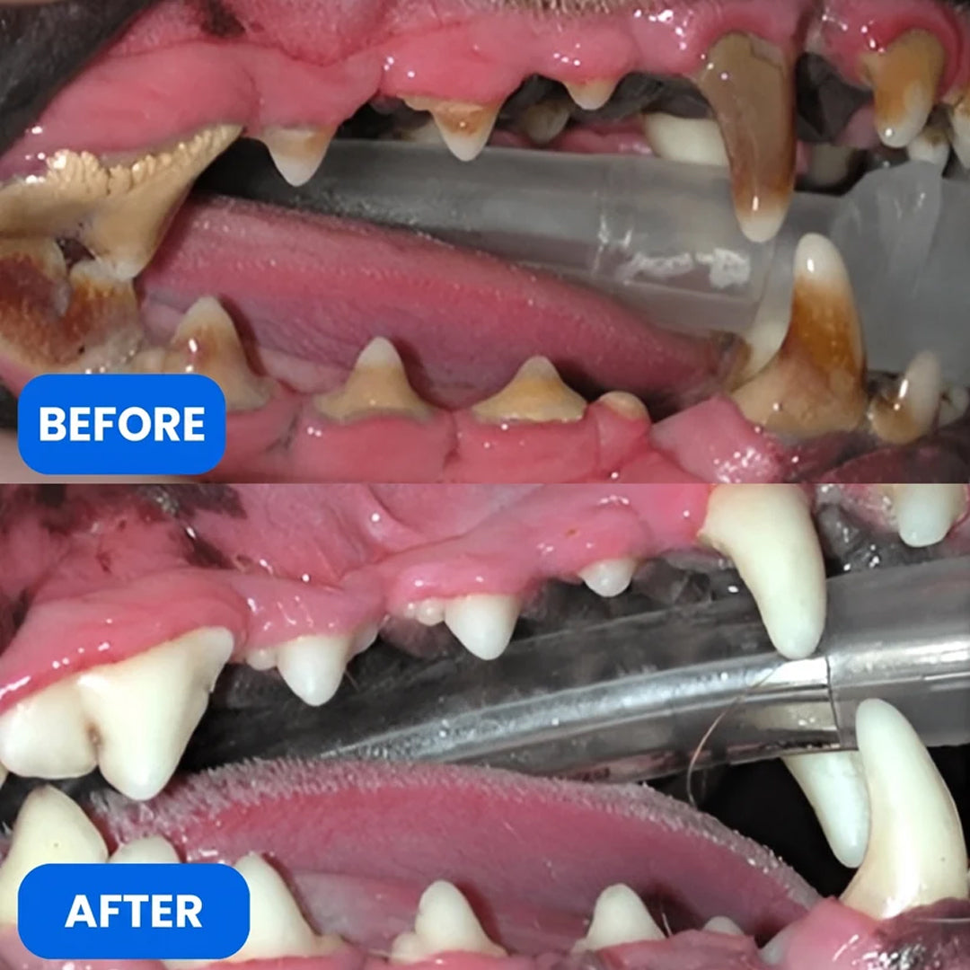 Puptailor Dog Teeth Cleaner