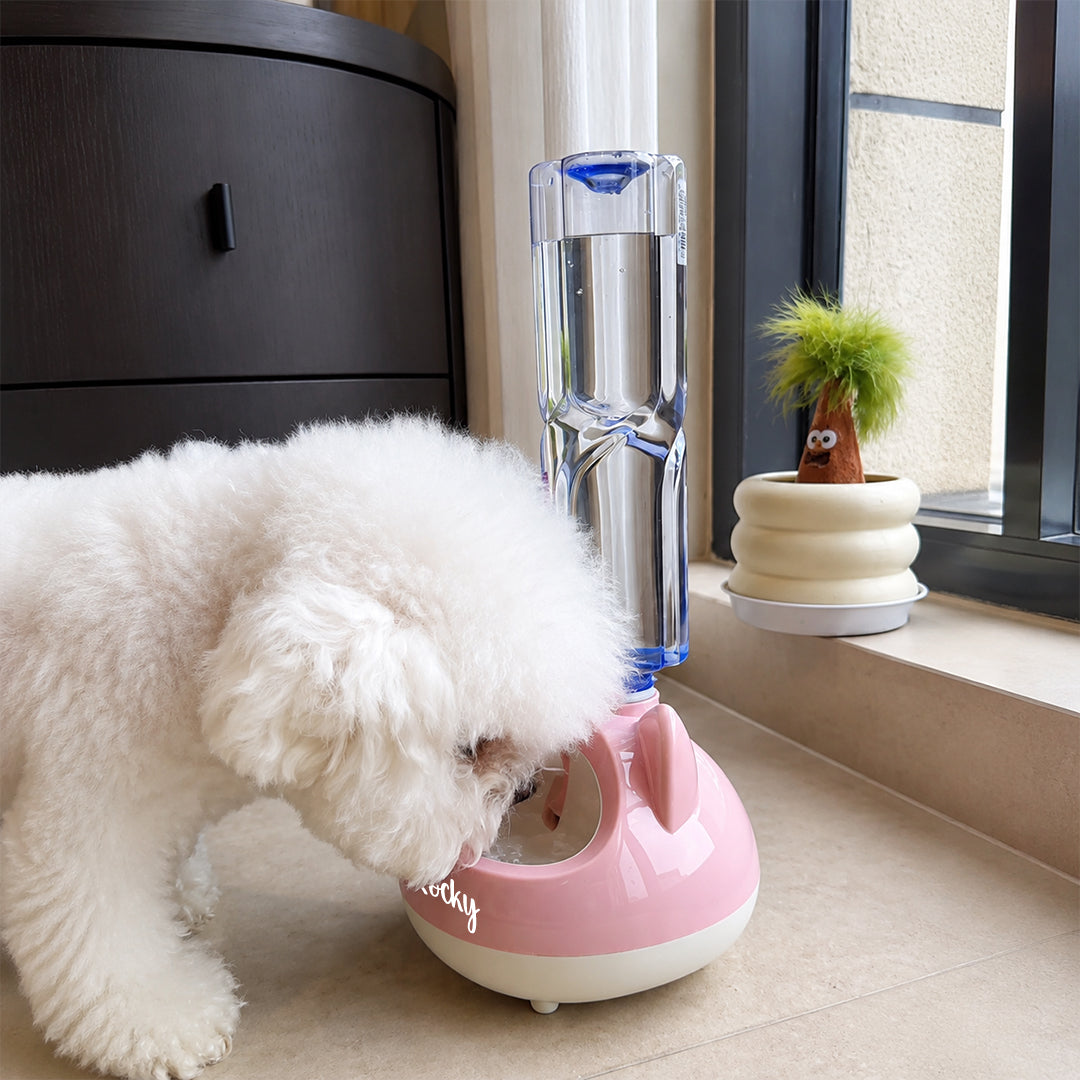 Personalized Gravity-Powered Pet Water Fountain