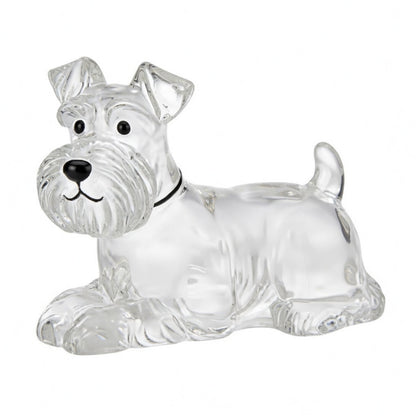 Personalized Pet Hair Keepsake Keychain