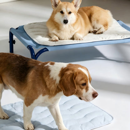 Personalized Pet Cooling Mat