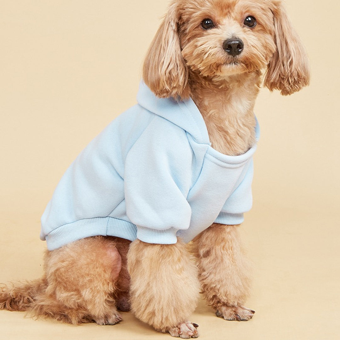 Personalized Solid-Color Warm Pet Hoodie