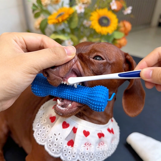 Dog Toothbrush Chew Toy