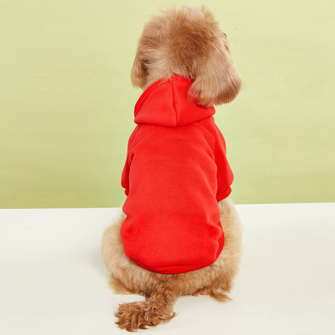 Personalized Solid-Color Warm Pet Hoodie