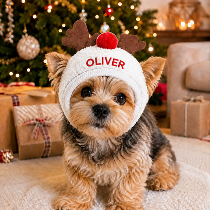 Personalized Embroidered Christmas Pet Hat