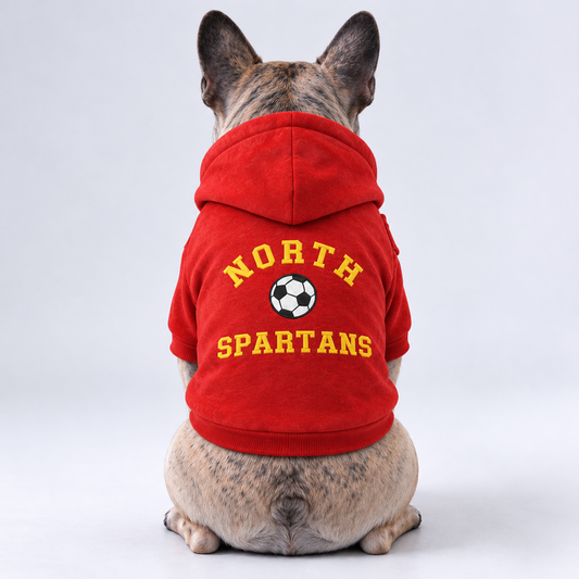 Personalized Sports Team Dog Hoodie