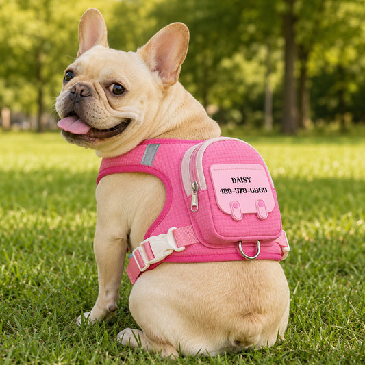 Customizable Pet Backpack-Style Harness