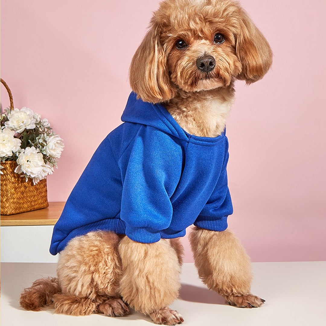 Personalized Solid-Color Warm Pet Hoodie
